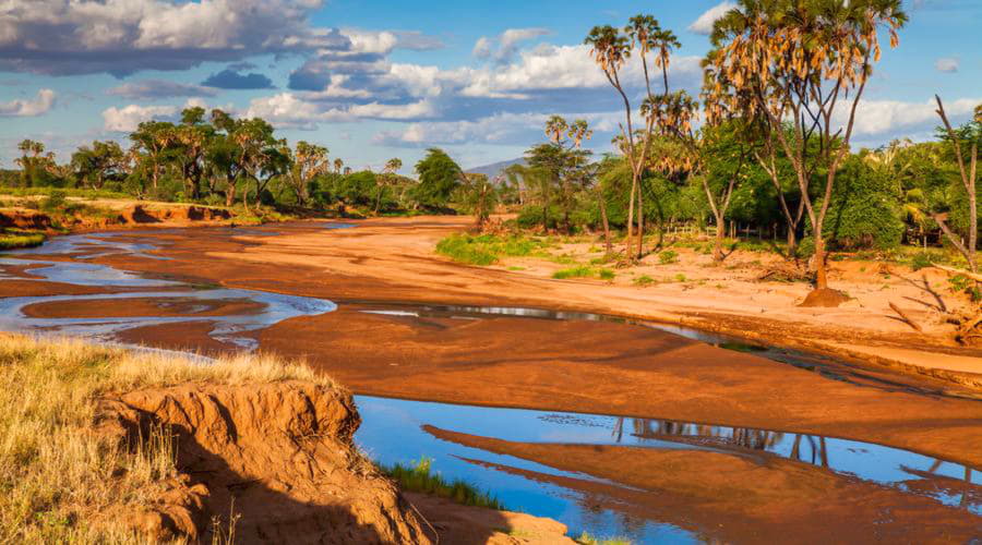 Onze autoverhuurservices bieden een gevarieerde selectie van voertuigen in het Samburu Nationaal Reservaat.